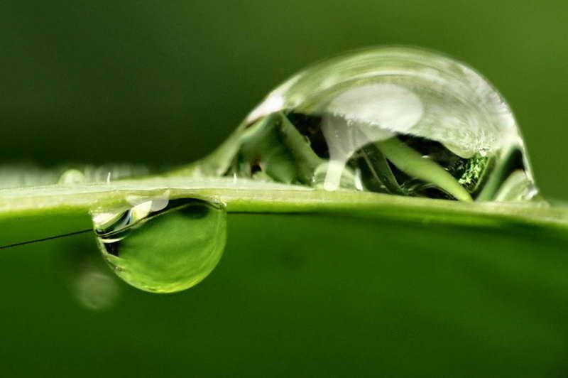 gouttes de pluie-01.jpg